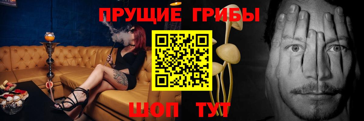 Галлюциногенные грибы ЛСД  Вход с VPN  Каменск-Уральский  Галлюциногенные грибы Cubensis 