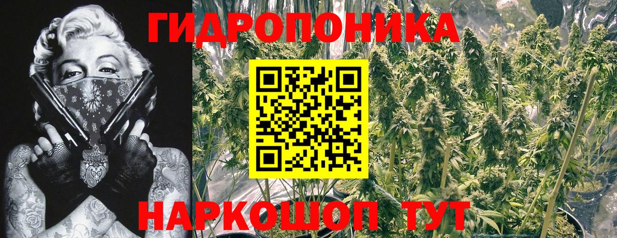 Каменск-Уральский  Бошки Шишки OG Kush  Марихуана марихуана  Вход с VPN  Конопля SATIVA & INDICA 